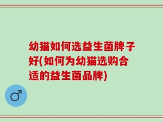 幼猫如何选益生菌牌子好(如何为幼猫选购合适的益生菌品牌)