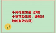 小葵花益生菌 过敏(小葵花益生菌：缓解过敏的有效选择)
