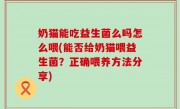 奶猫能吃益生菌么吗怎么喂(能否给奶猫喂益生菌？正确喂养方法分享)