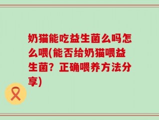奶猫能吃益生菌么吗怎么喂(能否给奶猫喂益生菌？正确喂养方法分享)