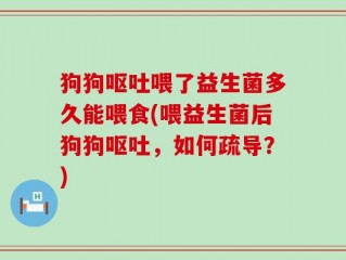 狗狗呕吐喂了益生菌多久能喂食(喂益生菌后狗狗呕吐，如何疏导？)