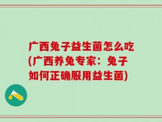 广西兔子益生菌怎么吃(广西养兔专家：兔子如何正确服用益生菌)