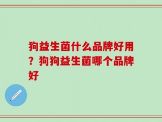 狗益生菌什么品牌好用？狗狗益生菌哪个品牌好
