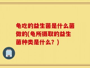 龟吃的益生菌是什么菌做的(龟所摄取的益生菌种类是什么？)