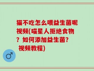 猫不吃怎么喂益生菌呢视频(喵星人拒绝食物？如何添加益生菌？  视频教程)