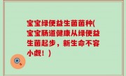 宝宝绿便益生菌菌种(宝宝肠道健康从绿便益生菌起步，新生命不容小觑！)