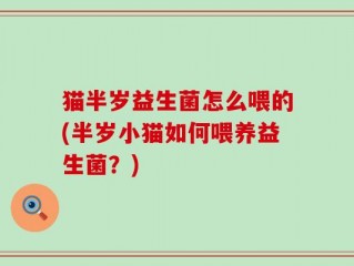 猫半岁益生菌怎么喂的(半岁小猫如何喂养益生菌？)