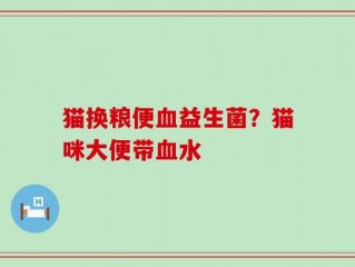 猫换粮便血益生菌？猫咪大便带血水
