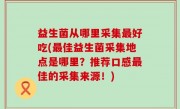 益生菌从哪里采集最好吃(最佳益生菌采集地点是哪里？推荐口感最佳的采集来源！)