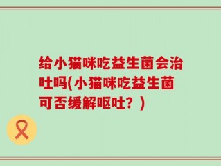 给小猫咪吃益生菌会治吐吗(小猫咪吃益生菌可否缓解呕吐？)
