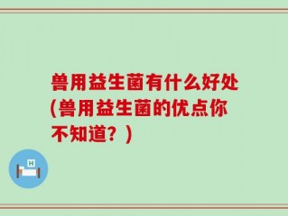 兽用益生菌有什么好处(兽用益生菌的优点你不知道？)
