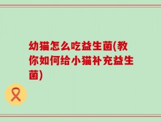 幼猫怎么吃益生菌(教你如何给小猫补充益生菌)