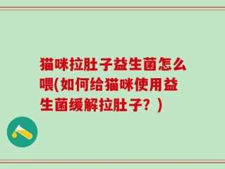 猫咪拉肚子益生菌怎么喂(如何给猫咪使用益生菌缓解拉肚子？)