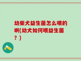 幼柴犬益生菌怎么喂的啊(幼犬如何喂益生菌？)