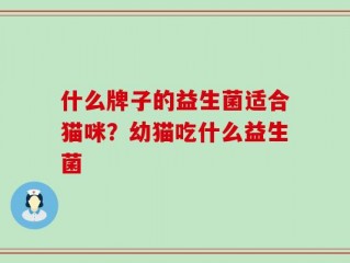 什么牌子的益生菌适合猫咪？幼猫吃什么益生菌