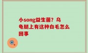 小song益生菌？乌龟腿上有这种白毛怎么回事