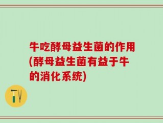 牛吃酵母益生菌的作用(酵母益生菌有益于牛的消化系统)
