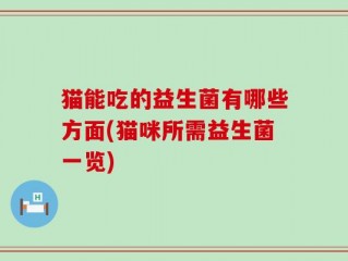 猫能吃的益生菌有哪些方面(猫咪所需益生菌一览)