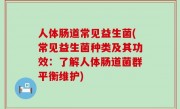 人体肠道常见益生菌(常见益生菌种类及其功效：了解人体肠道菌群平衡维护)