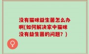 没有猫咪益生菌怎么办啊(如何解决家中猫咪没有益生菌的问题？)