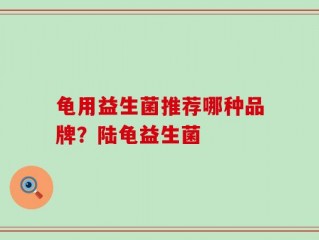 龟用益生菌推荐哪种品牌？陆龟益生菌