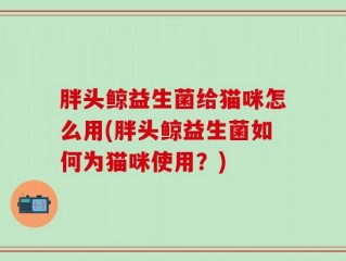 胖头鲸益生菌给猫咪怎么用(胖头鲸益生菌如何为猫咪使用？)