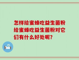 怎样给蜜蜂吃益生菌粉给蜜蜂吃益生菌粉对它们有什么好处呢？