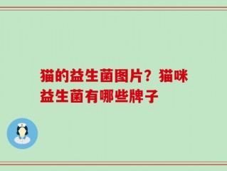 猫的益生菌图片？猫咪益生菌有哪些牌子