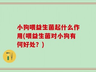 小狗喂益生菌起什么作用(喂益生菌对小狗有何好处？)