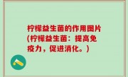 柠檬益生菌的作用图片(柠檬益生菌：提高免疫力，促进消化。)