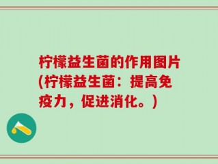 柠檬益生菌的作用图片(柠檬益生菌：提高免疫力，促进消化。)