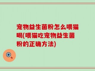宠物益生菌粉怎么喂猫喝(喂猫吃宠物益生菌粉的正确方法)