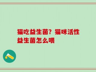 猫吃益生菌？猫咪活性益生菌怎么喂