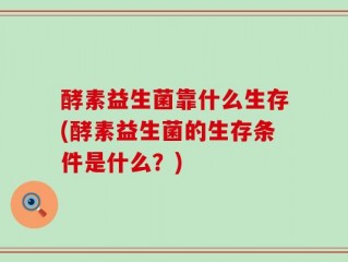 酵素益生菌靠什么生存(酵素益生菌的生存条件是什么？)