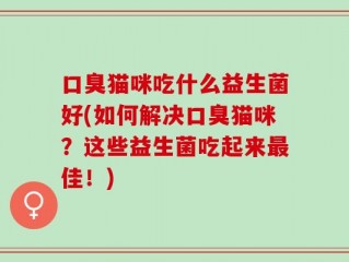 口臭猫咪吃什么益生菌好(如何解决口臭猫咪？这些益生菌吃起来最佳！)