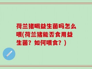 荷兰猪喝益生菌吗怎么喂(荷兰猪能否食用益生菌？如何喂食？)