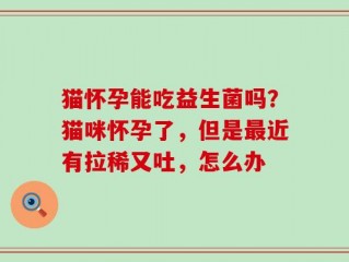 猫怀孕能吃益生菌吗？猫咪怀孕了，但是最近有拉稀又吐，怎么办