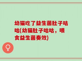 幼猫吃了益生菌肚子咕咕(幼猫肚子咕咕，喂食益生菌奏效)
