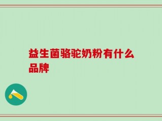 益生菌骆驼奶粉有什么品牌