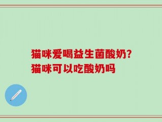 猫咪爱喝益生菌酸奶？猫咪可以吃酸奶吗