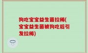 狗吃宝宝益生菌拉稀(宝宝益生菌被狗吃后引发拉稀)