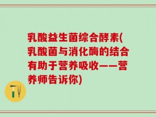 乳酸益生菌综合酵素(乳酸菌与消化酶的结合有助于营养吸收——营养师告诉你)