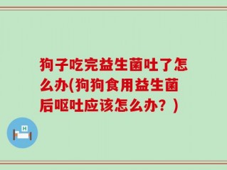 狗子吃完益生菌吐了怎么办(狗狗食用益生菌后呕吐应该怎么办？)