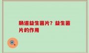 肠道益生菌片？益生菌片的作用