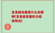 玉青益生菌是什么东西啊(玉青益生菌的介绍及特点)
