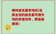 哪种益生菌养鸡好(选择合适的益生菌可提升鸡的养殖效率，降低疾病率)