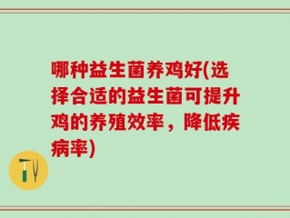 哪种益生菌养鸡好(选择合适的益生菌可提升鸡的养殖效率，降低疾病率)
