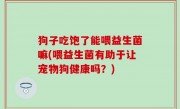 狗子吃饱了能喂益生菌嘛(喂益生菌有助于让宠物狗健康吗？)