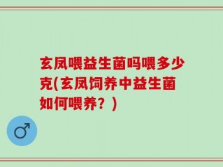 玄凤喂益生菌吗喂多少克(玄凤饲养中益生菌如何喂养？)