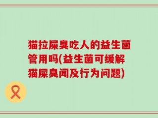 猫拉屎臭吃人的益生菌管用吗(益生菌可缓解猫屎臭闻及行为问题)